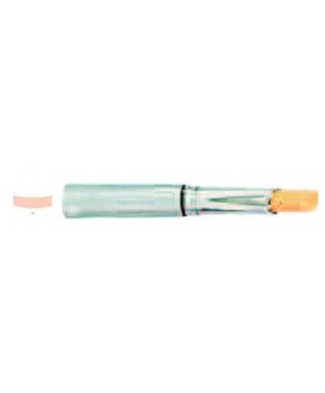 Fond de Teint Stick B/C   (2ml) Mak-Up Cpt