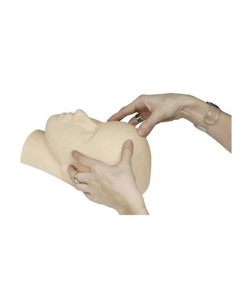 Tête Oris Visage Training Massage Tête Oris Visage Training Massage