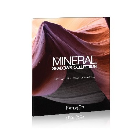 LIFE COLOR NUANCIER 12 MECHES MINERAL 2017-02