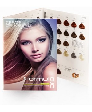 Nuancier Mèches Color Formulpro 97 meches