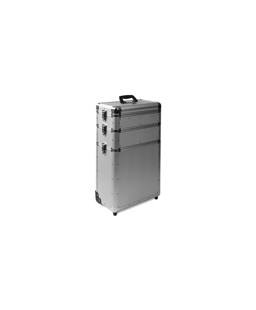 Valise Trieko-2  Rolly argenté Size-6  42*23*73