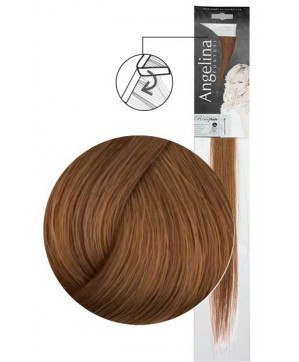 Mèche Ag-Ct Remyhair 27 8,34 4X45Cm Skinyx2