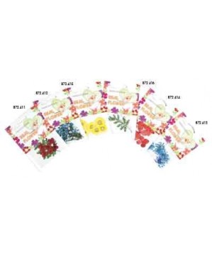 Fleurs Carmin  Nail Art - SINA