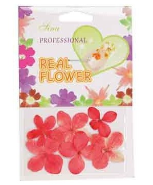 Fleurs Rouge  Nail Art - SINA