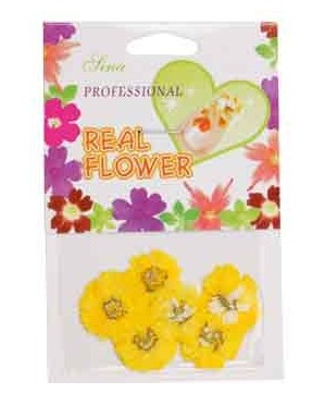 Fleurs Jaune   Nail Art - SINA