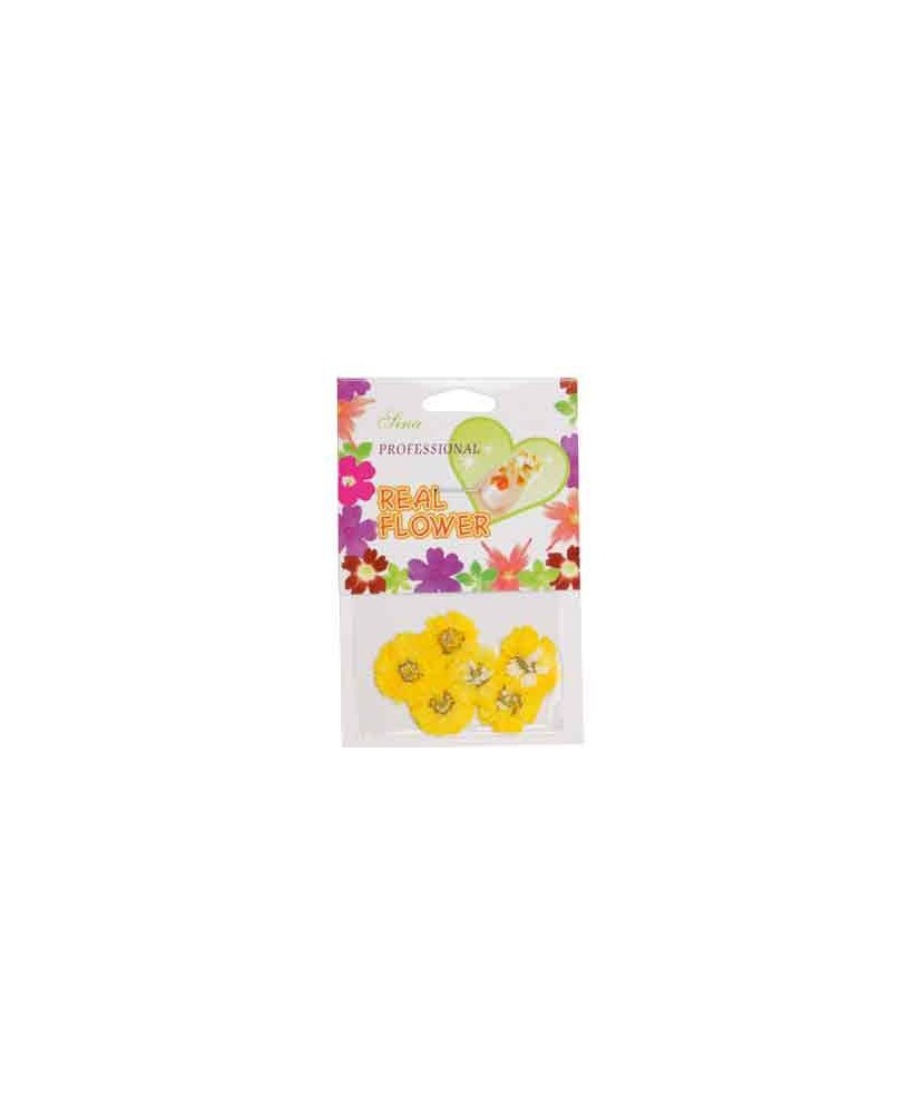 Fleurs Jaune   Nail Art - SINA