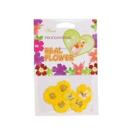 Fleurs Jaune   Nail Art - SINA