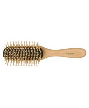 Brosse Cent.Careswood Deman 9Rg